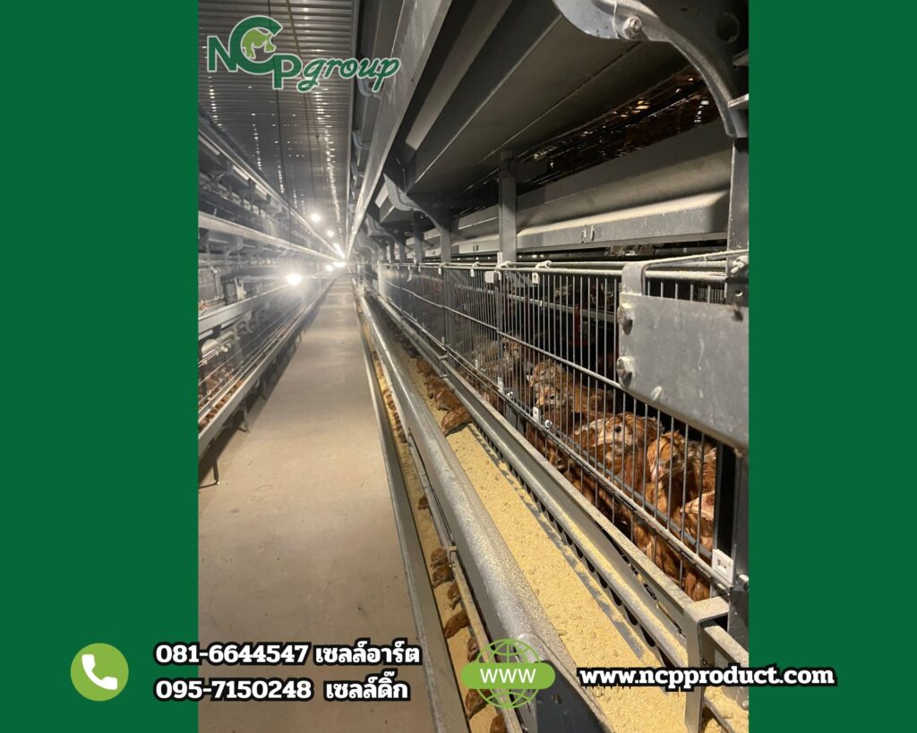 625405689_122096659533246816_4741482929546996877_n