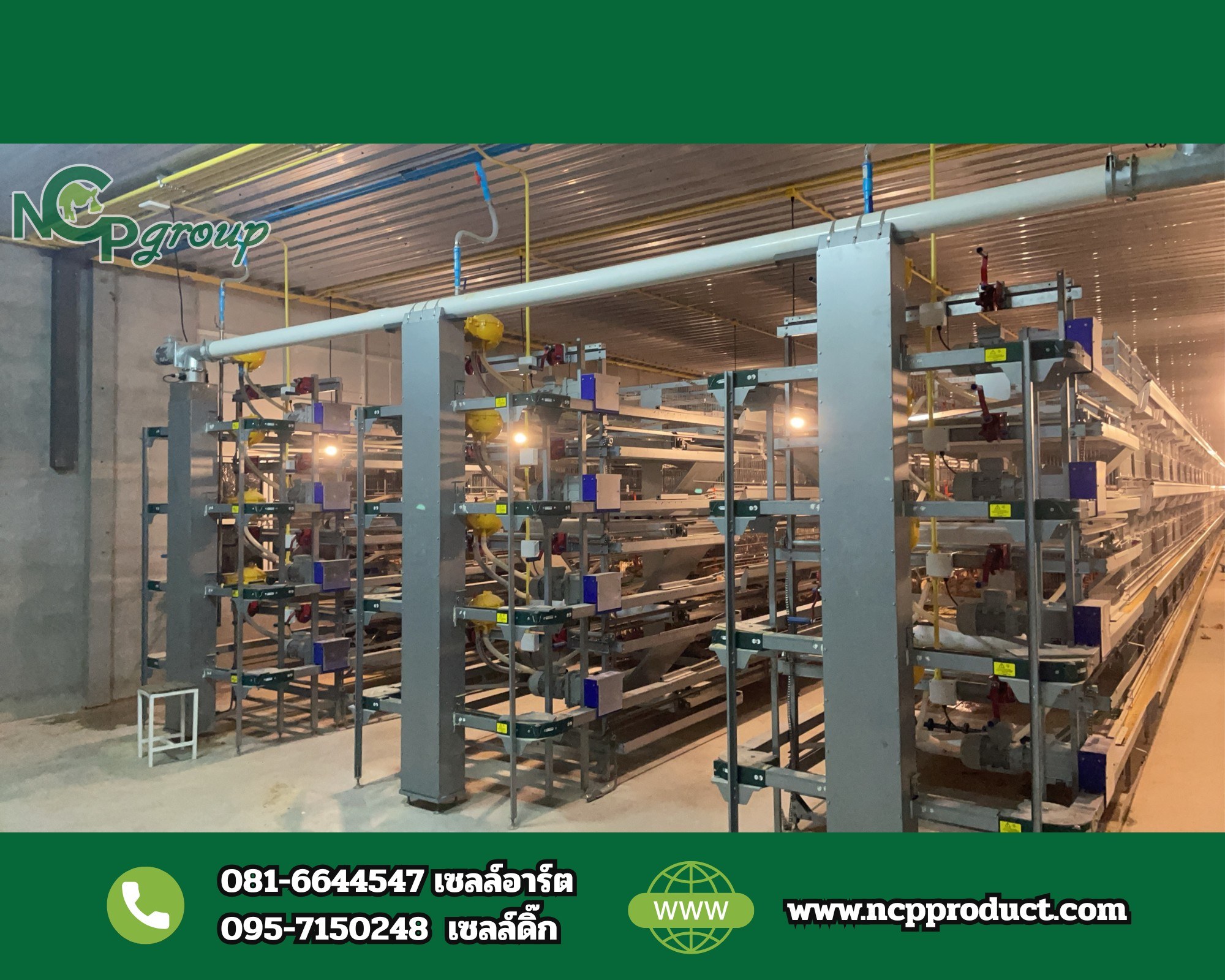 NCP Group : ผู้นำเบอร์ 1 นวัตกรรมกรงไก่เจ้าแรก ที่เกษตรกรไทยไว้วางใจ