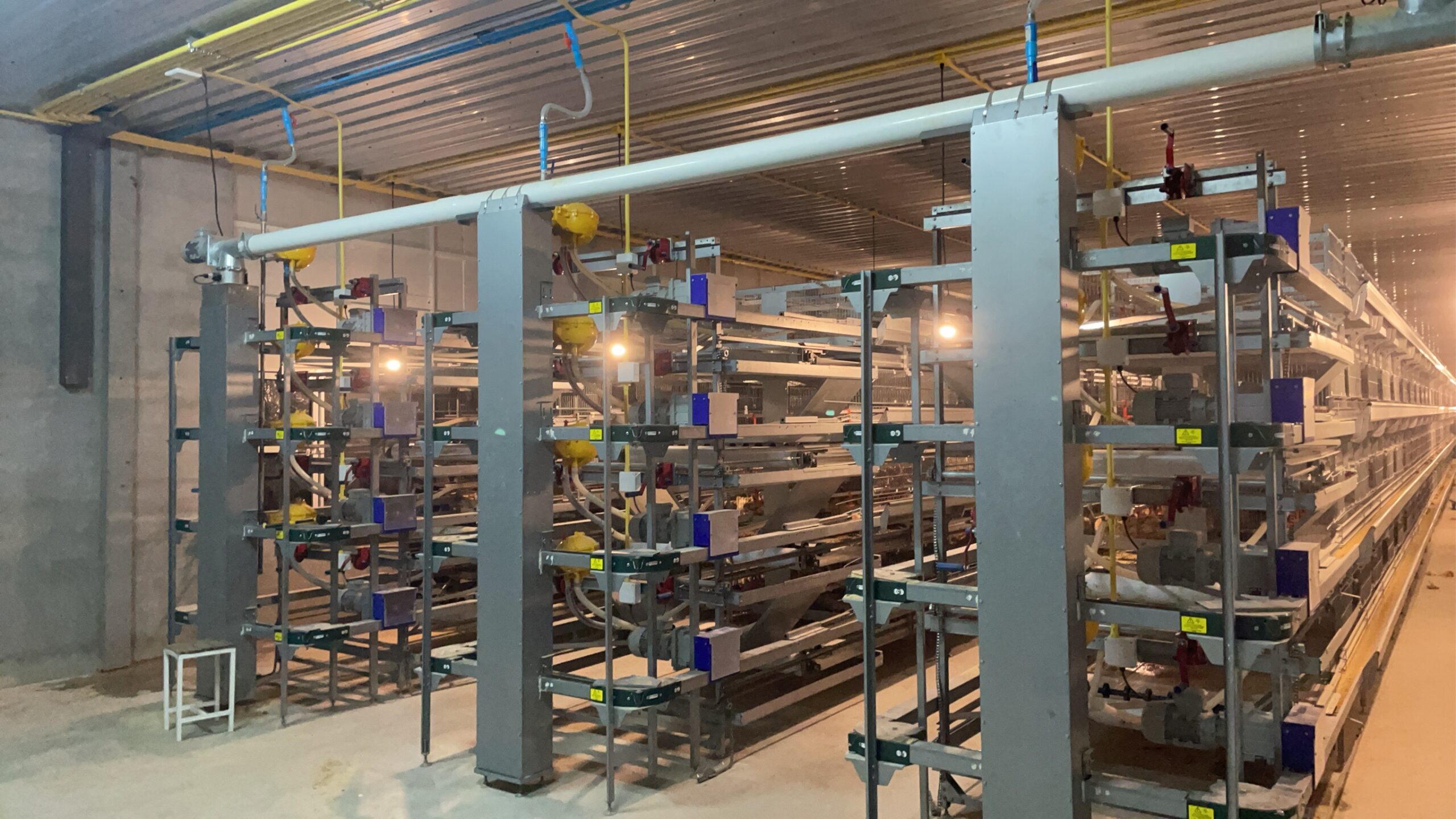 Home กรงไก่1 Scaled