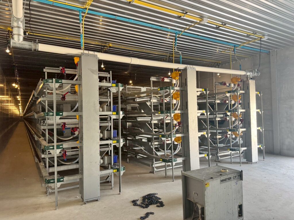 LINE_ALBUM_กรงไก่รุ่น_260304_2 LINE ALBUM กรงไก่รุ่น 260304 2 1024x768