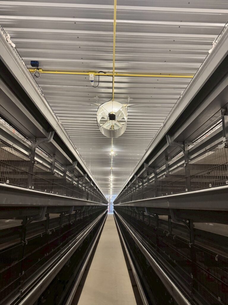 LINE_ALBUM_กรงไก่รุ่น_260304_3 LINE ALBUM กรงไก่รุ่น 260304 3 768x1024