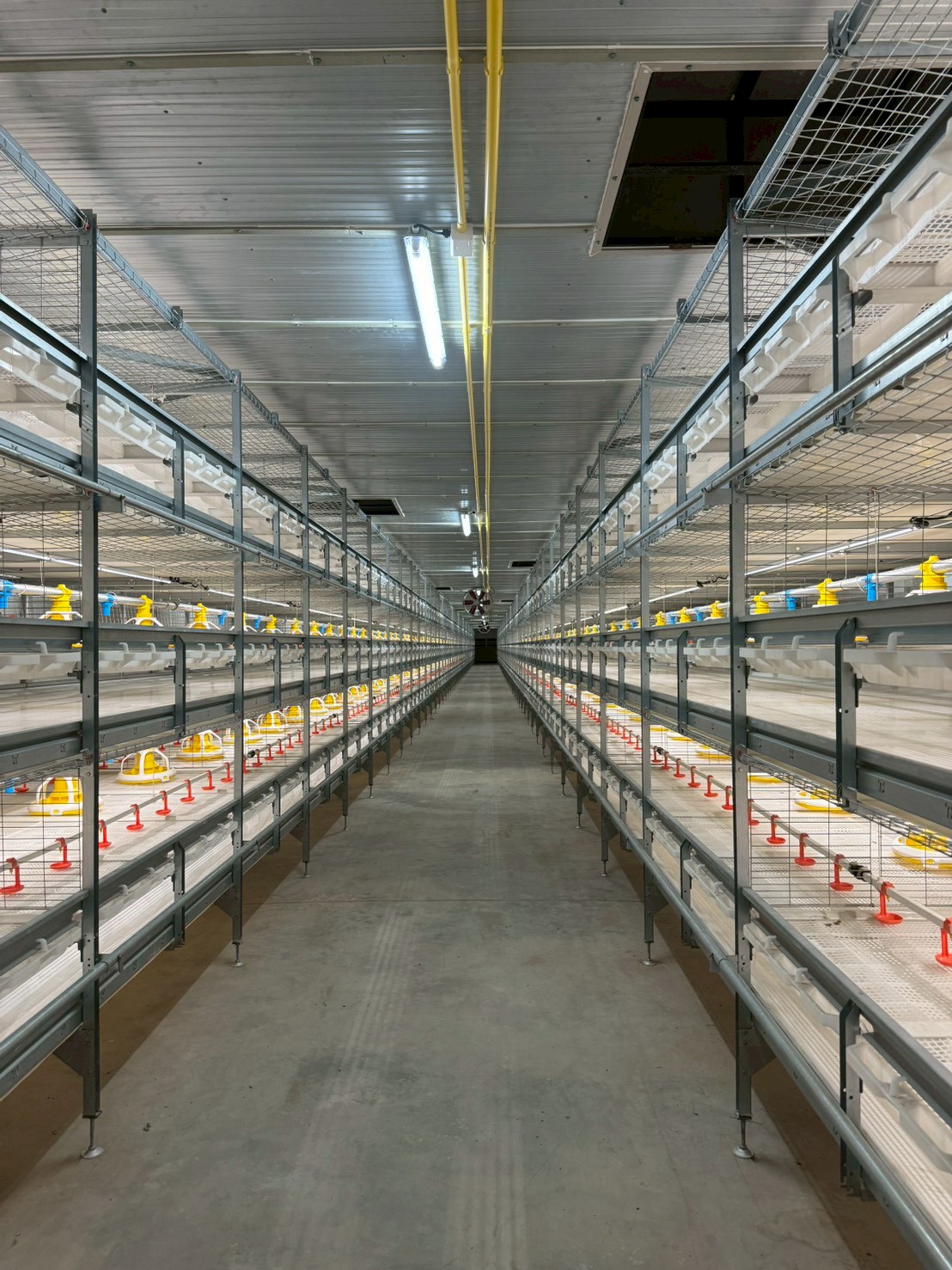 LINE ALBUM กรงไก่เนื้อ 260323 1