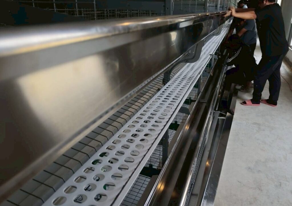 LINE_ALBUM_กรงไก่ไข่_260304_2 LINE ALBUM กรงไก่ไข่ 260304 2 1024x722