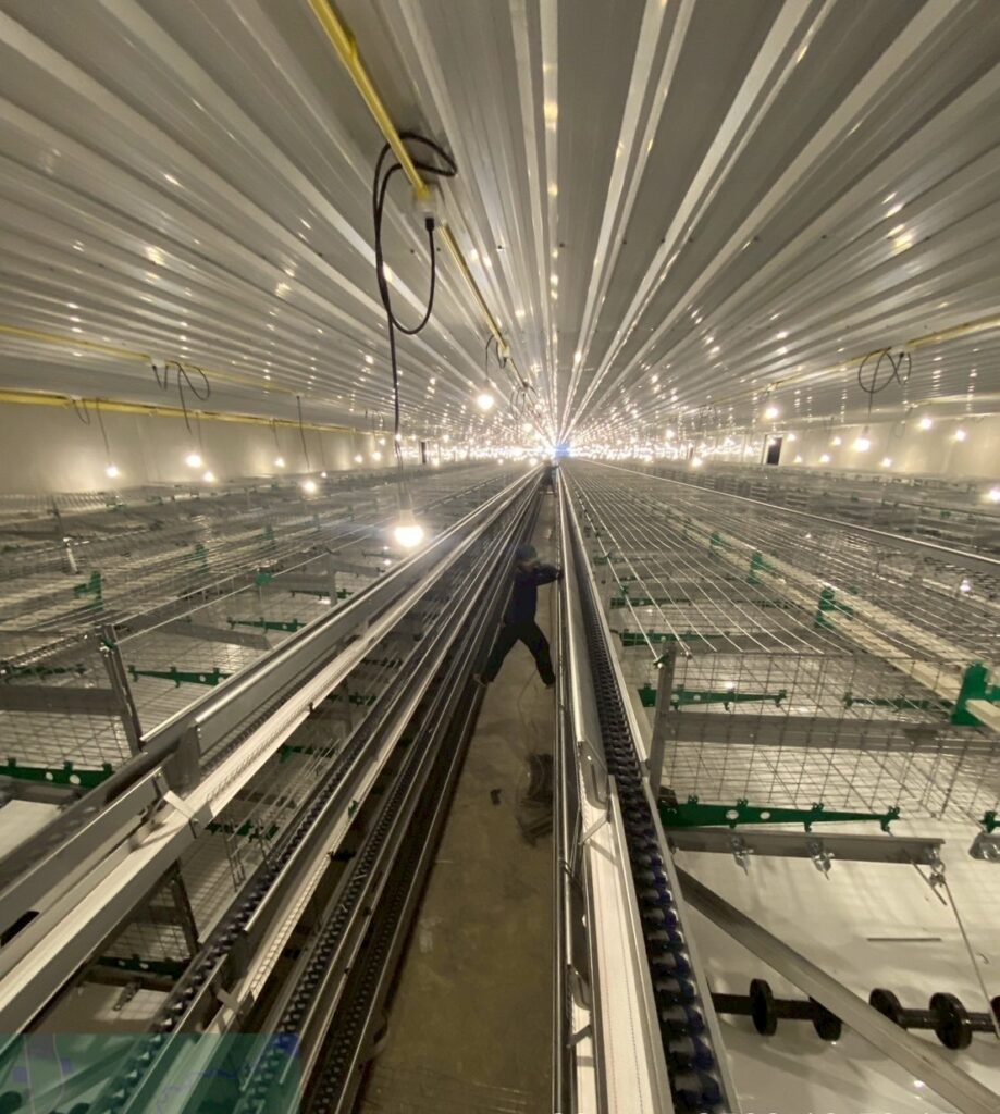 LINE_ALBUM_กรงไก่ไข่_260304_9 LINE ALBUM กรงไก่ไข่ 260304 9 919x1024